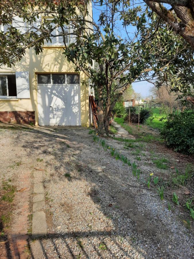 Maison Sur 2000M² D'Espace Vert. Bessan Zewnętrze zdjęcie